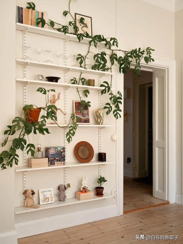 收纳达人脑洞大开，这些创意方法让人佩服不已