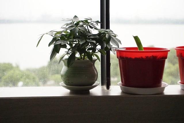 房间越住越大的秘诀：10个超实用收纳技巧你必须知道！