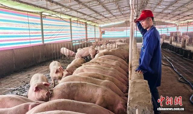 广西农民创新生态养殖新路径