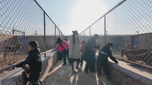 特色养殖助力乡村振兴发展新动能