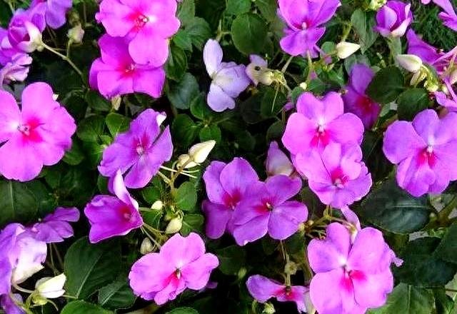 人生一趟，开心就好，活出自己才赢！看完彻底释怀