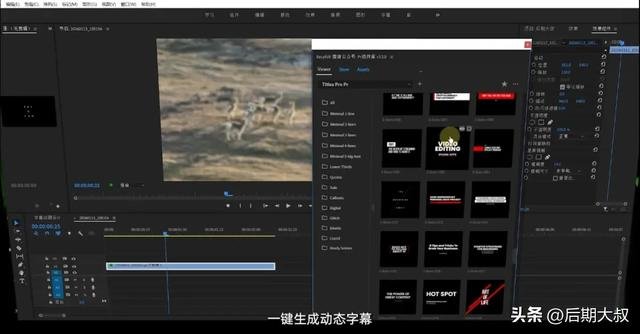 Pr/Ae文字动画插件脚本详细教学视频教程