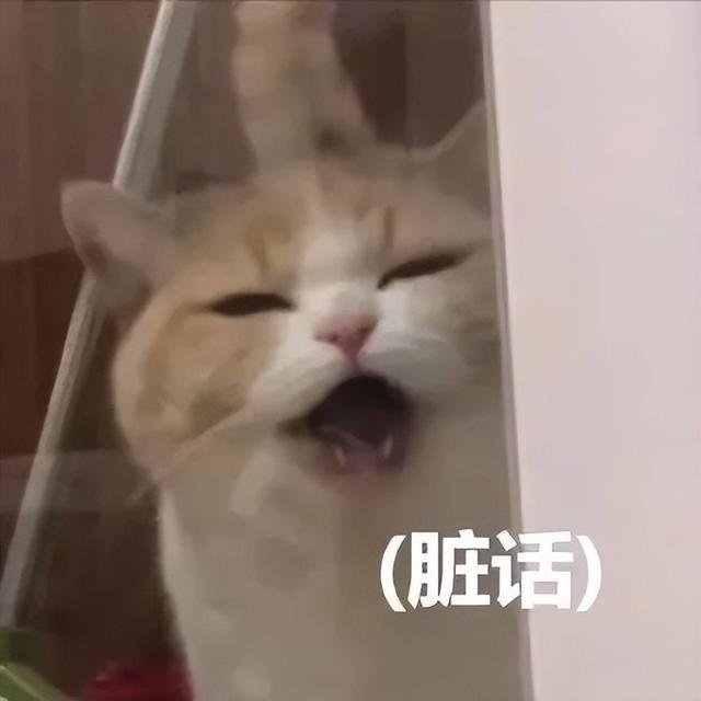 酒店开房先测网速，王者荣耀玩得更畅快