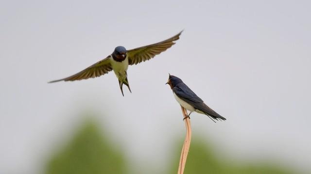 如何才能过得幸福生活