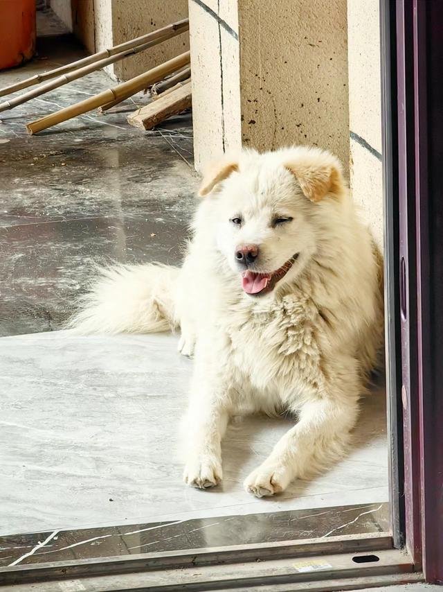 打针注意事项与常见问题解答