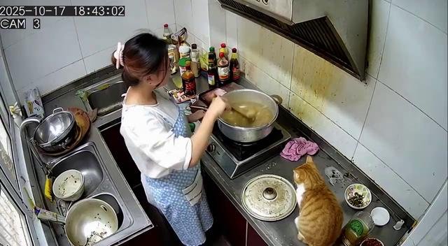 猫咪为什么会这样？你笑了吗？