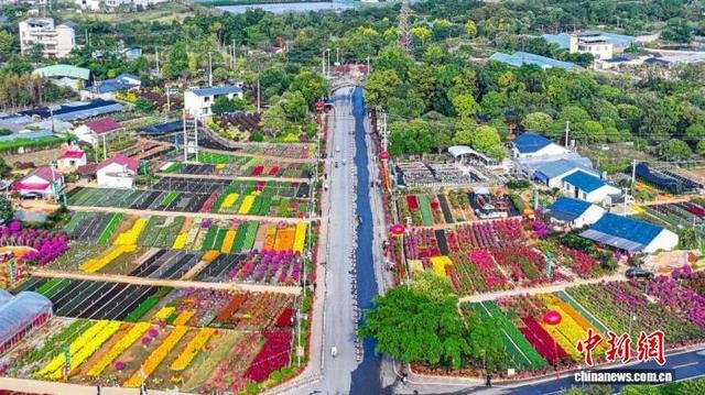 广西生态修复加速 林业产业破万亿增长